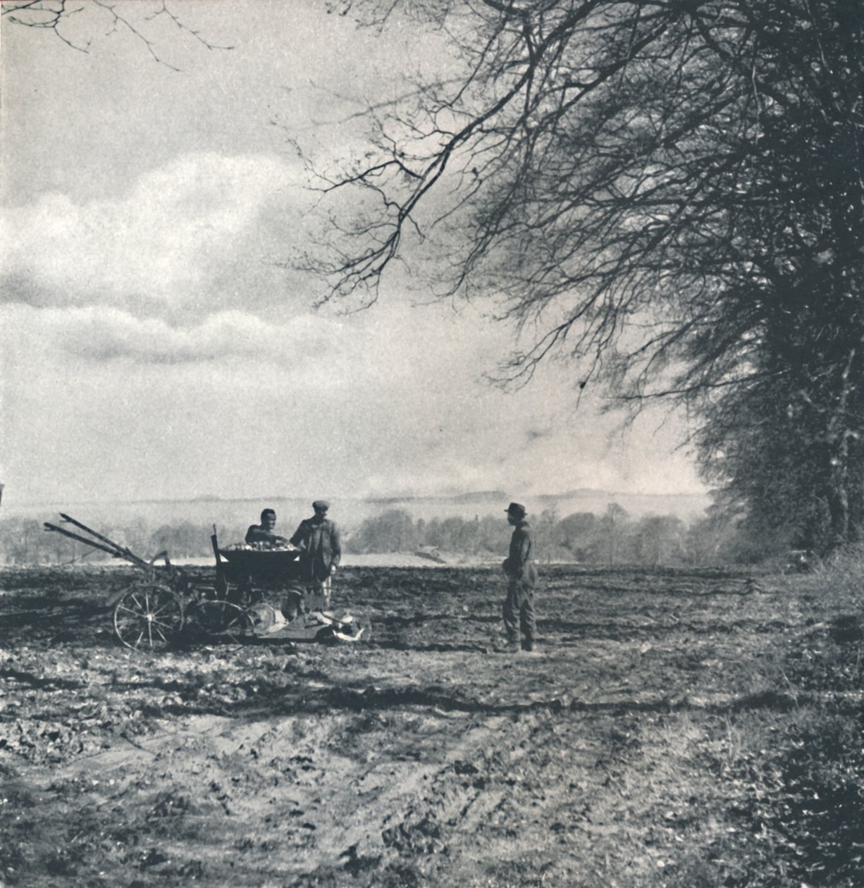 Lontano al campo e al solco da Cecil Beaton