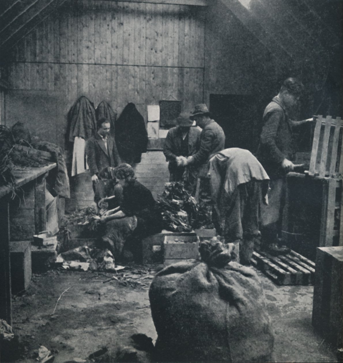 Verdure per il mercato, 1941 da Cecil Beaton