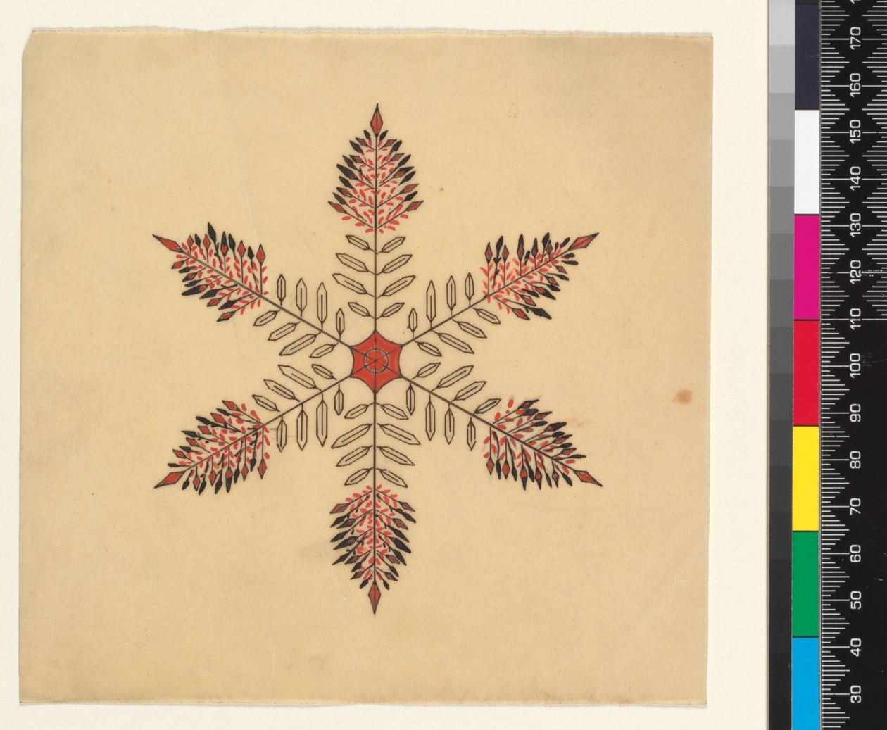 Cristalli di neve da Cecilia Glaisher