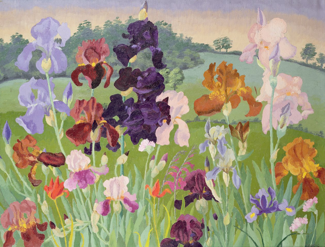 Diverse Invenzioni da Cedric Morris