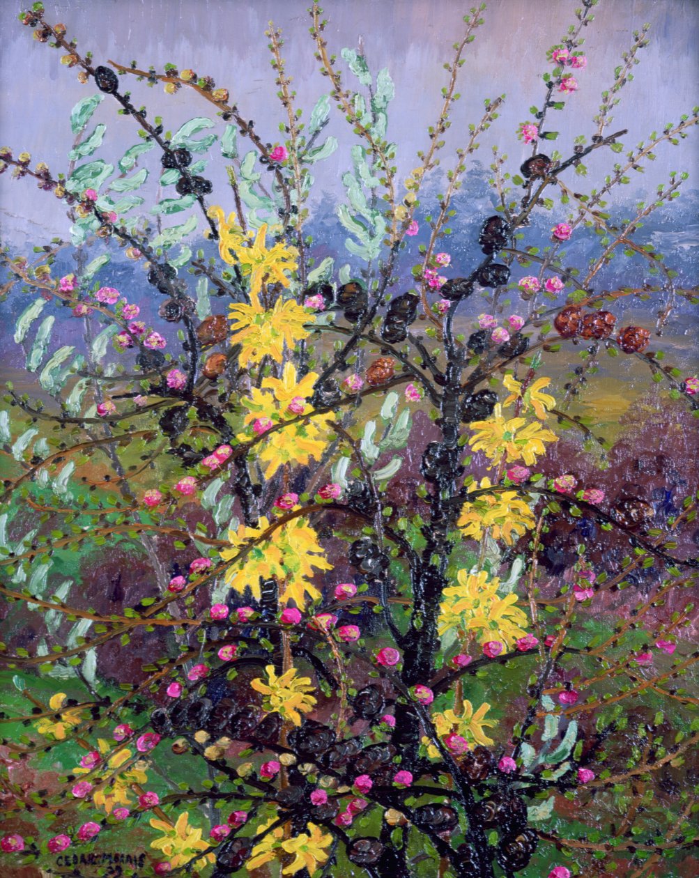 Arbusti da Cedric Morris