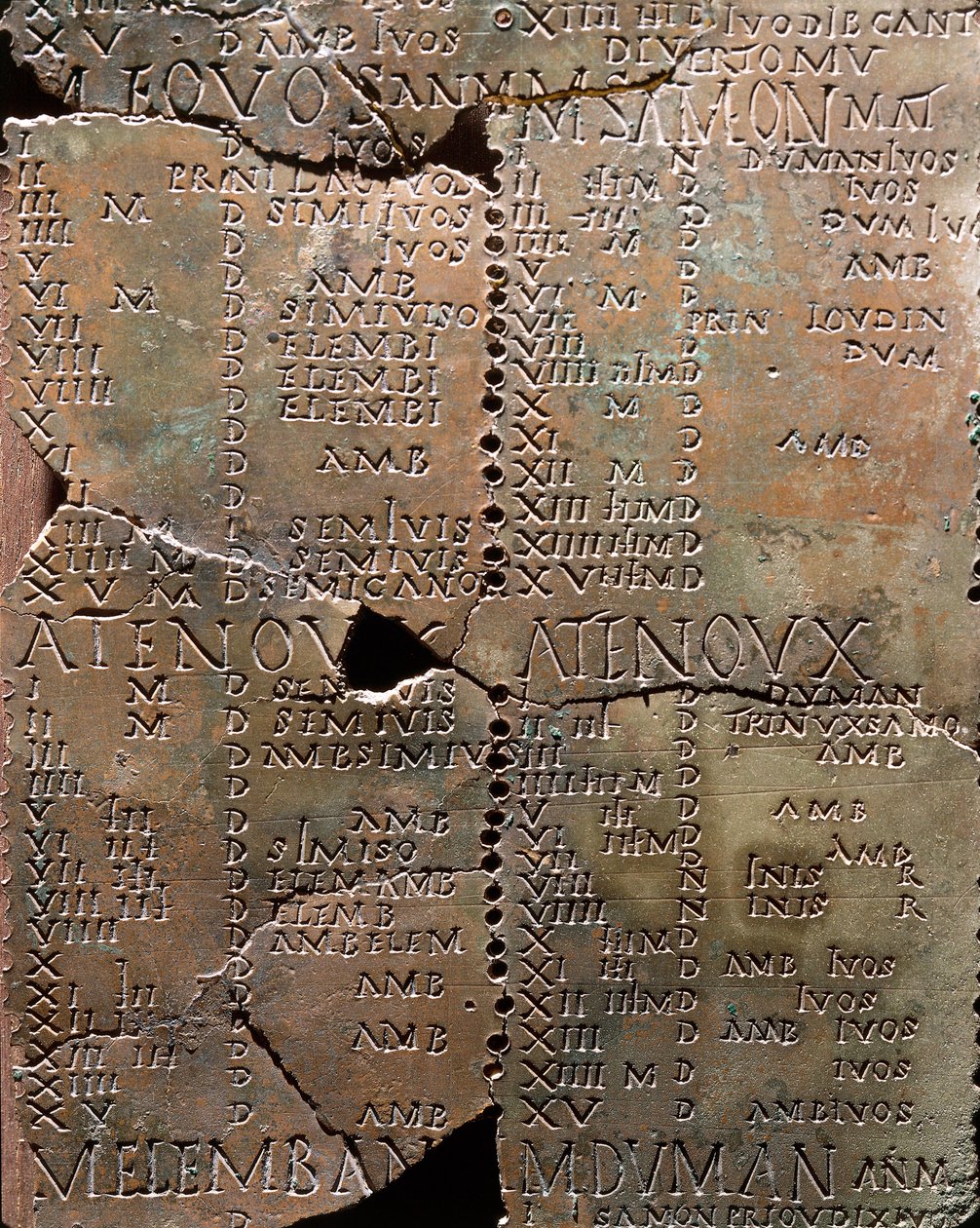 Calandra su lastre di bronzo, da Coligny da Celtic