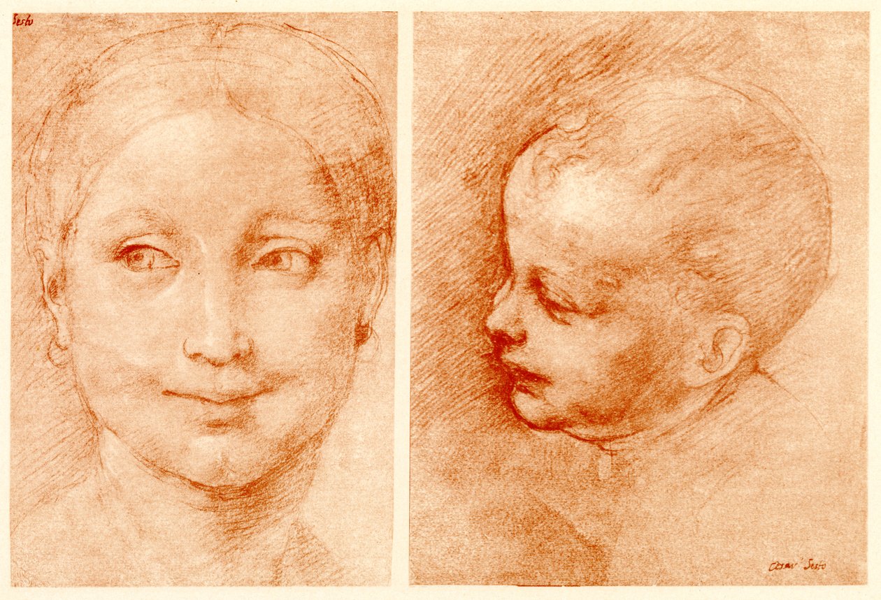 Studi di teste da Cesare da Sesto