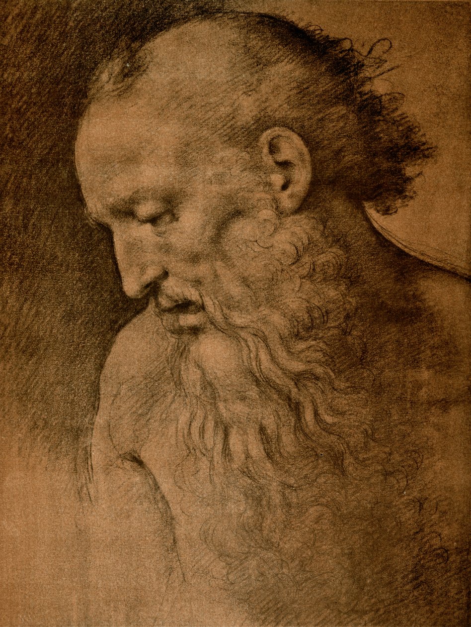 Testa di San Girolamo da Cesare da Sesto