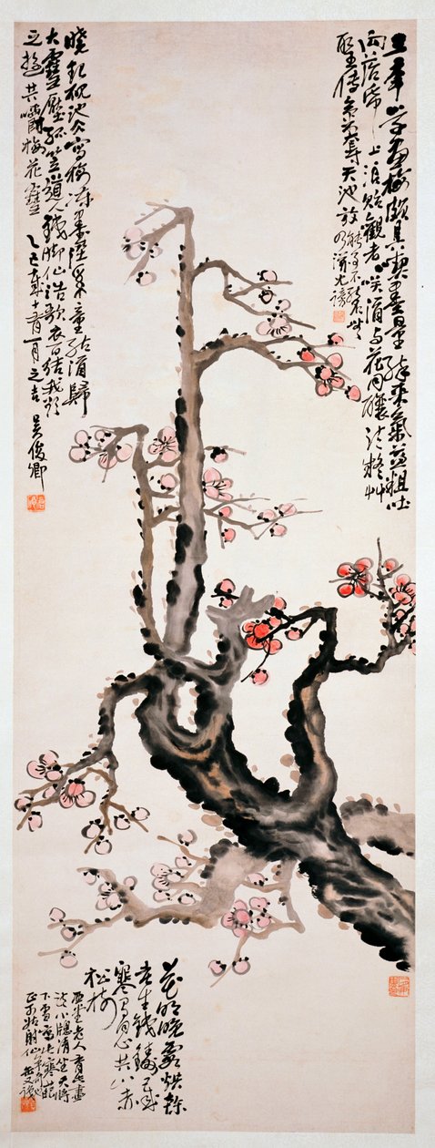 Fiori di prugna rossa, 1905 da Changshuo Wu