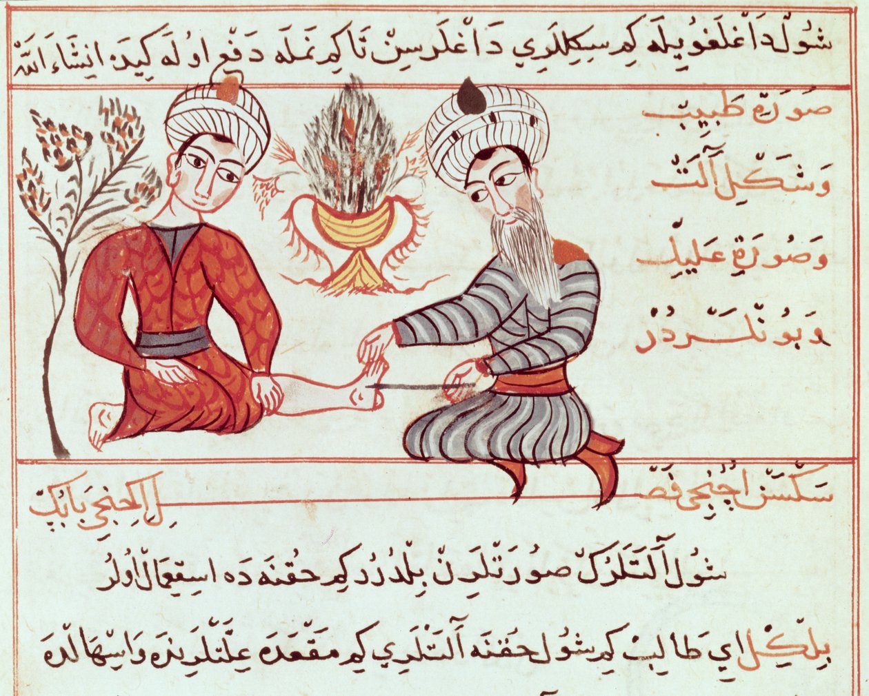Ms Sup Turc 693 fol.125 Trattamento di bolle e verruche, 1466 da Charaf ed Din
