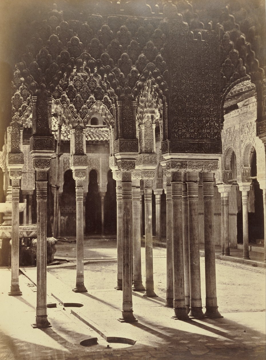 Corte dei Leoni nell