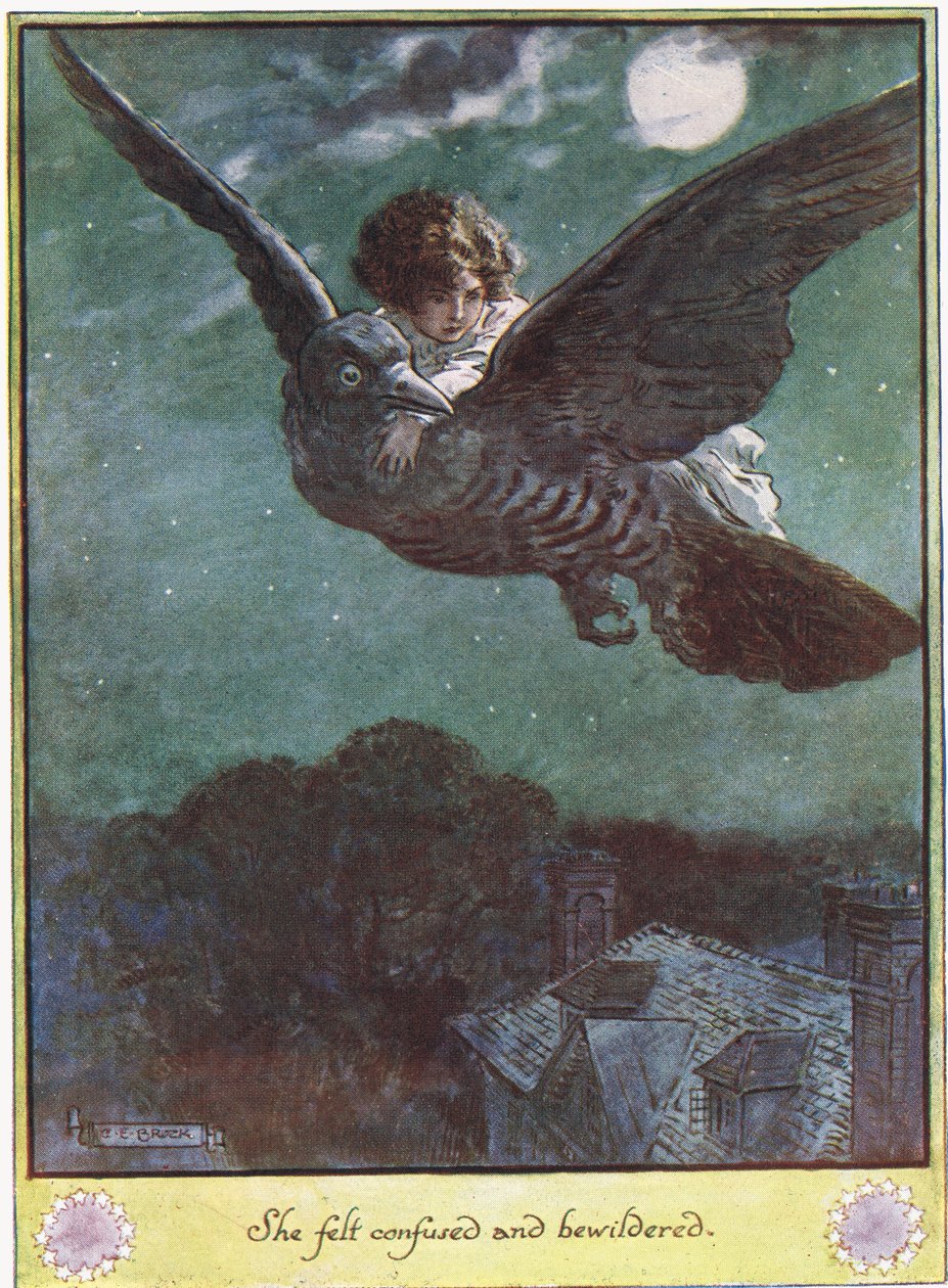 Volo sull