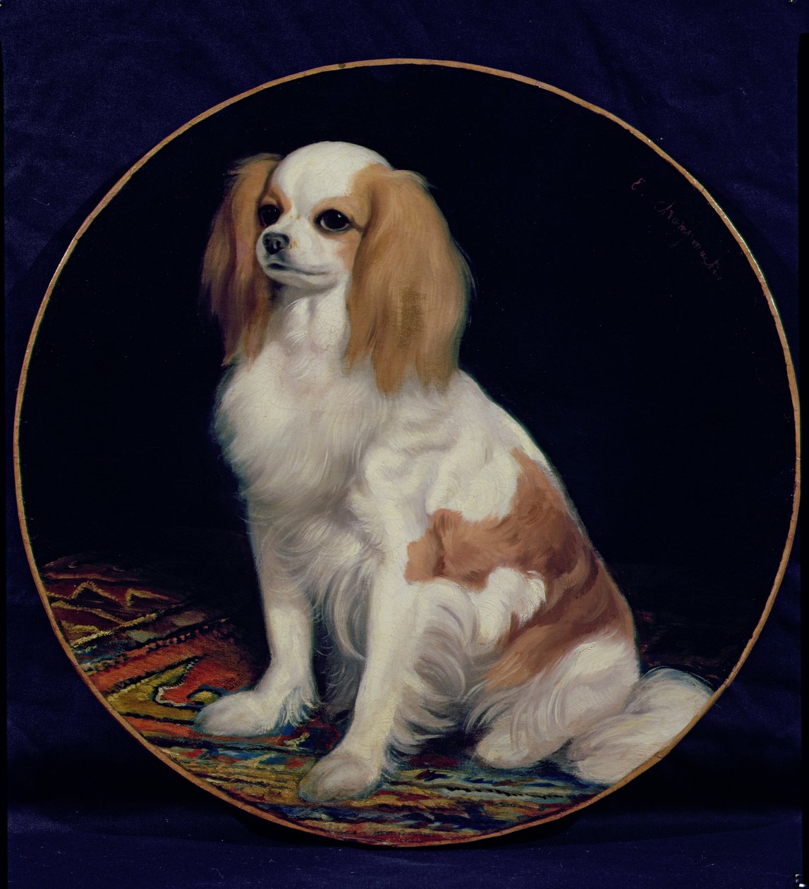 King Charles Spaniel da Charles Emile Callande de Champmartin