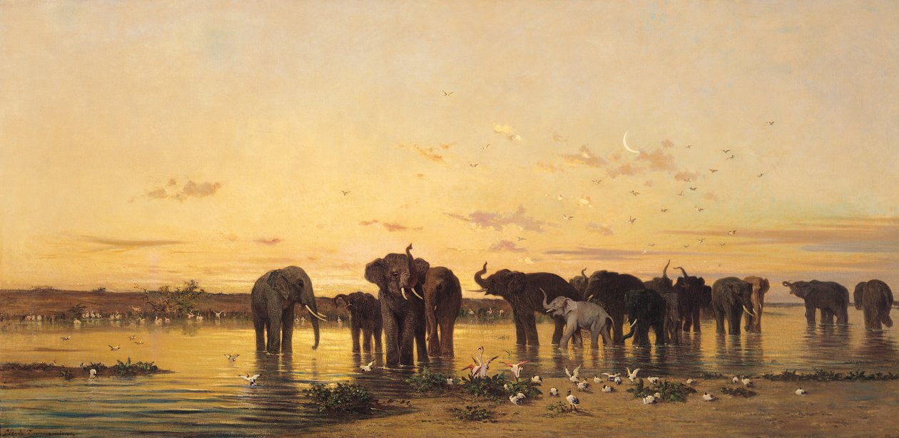 Elefanti africani da Charles Émile de Tournemine