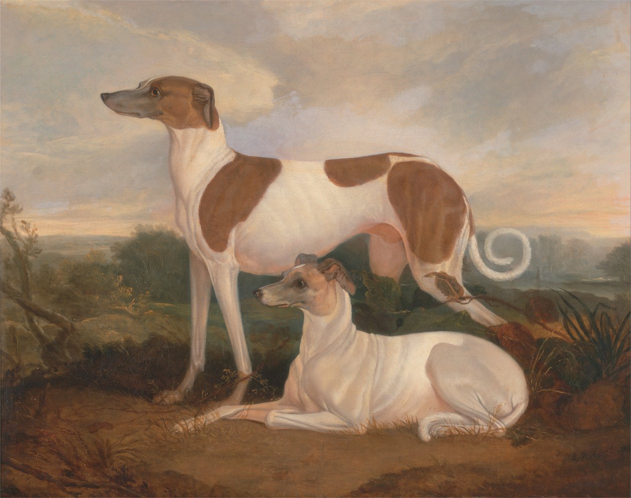 Due levrieri in un paesaggio da Charles Hancock