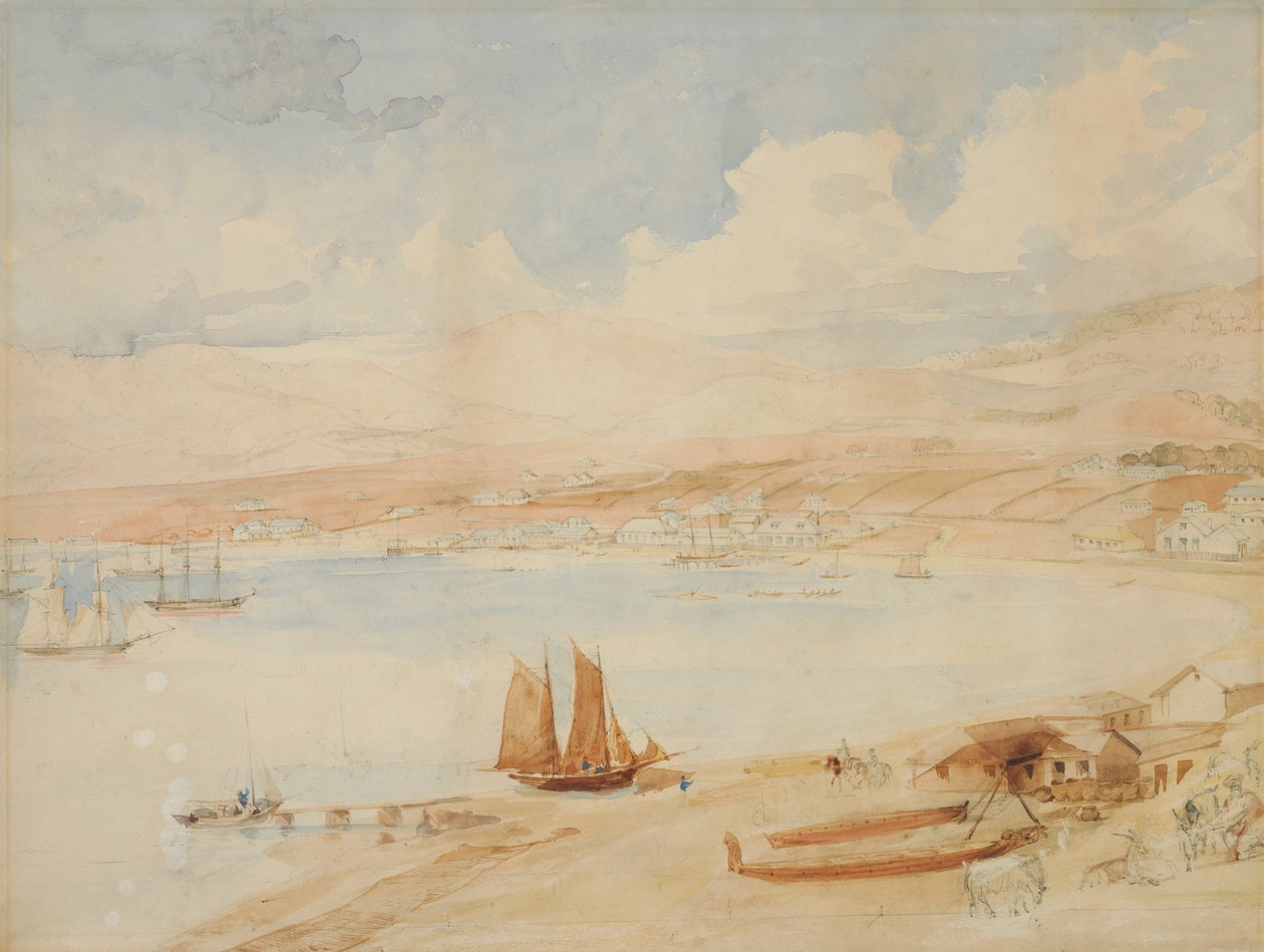 Porto di Wellington, N.Z. da Charles Heaphy