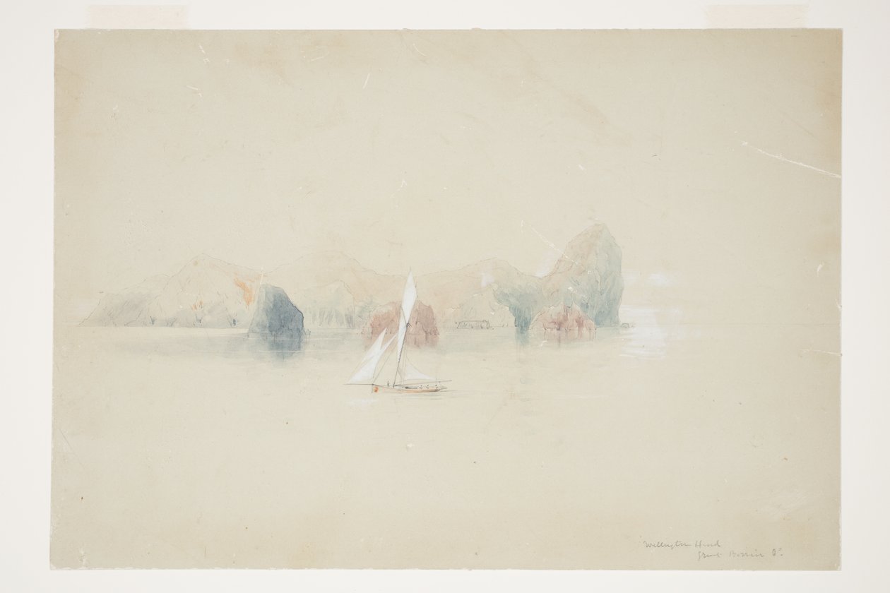 Wellington Head, Great Barrier Id da Charles Heaphy