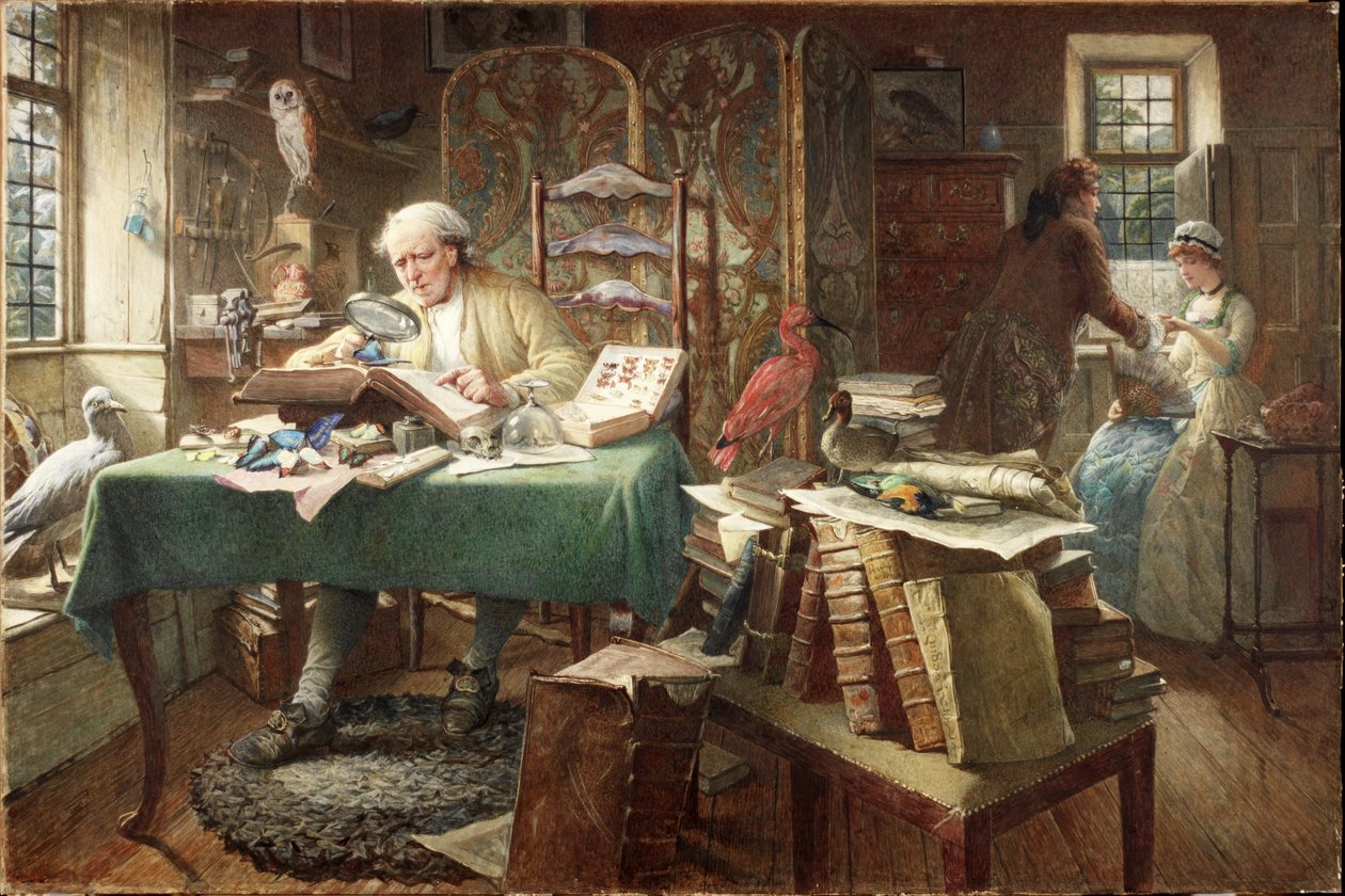 Larve e Farfalle da Charles J. Staniland
