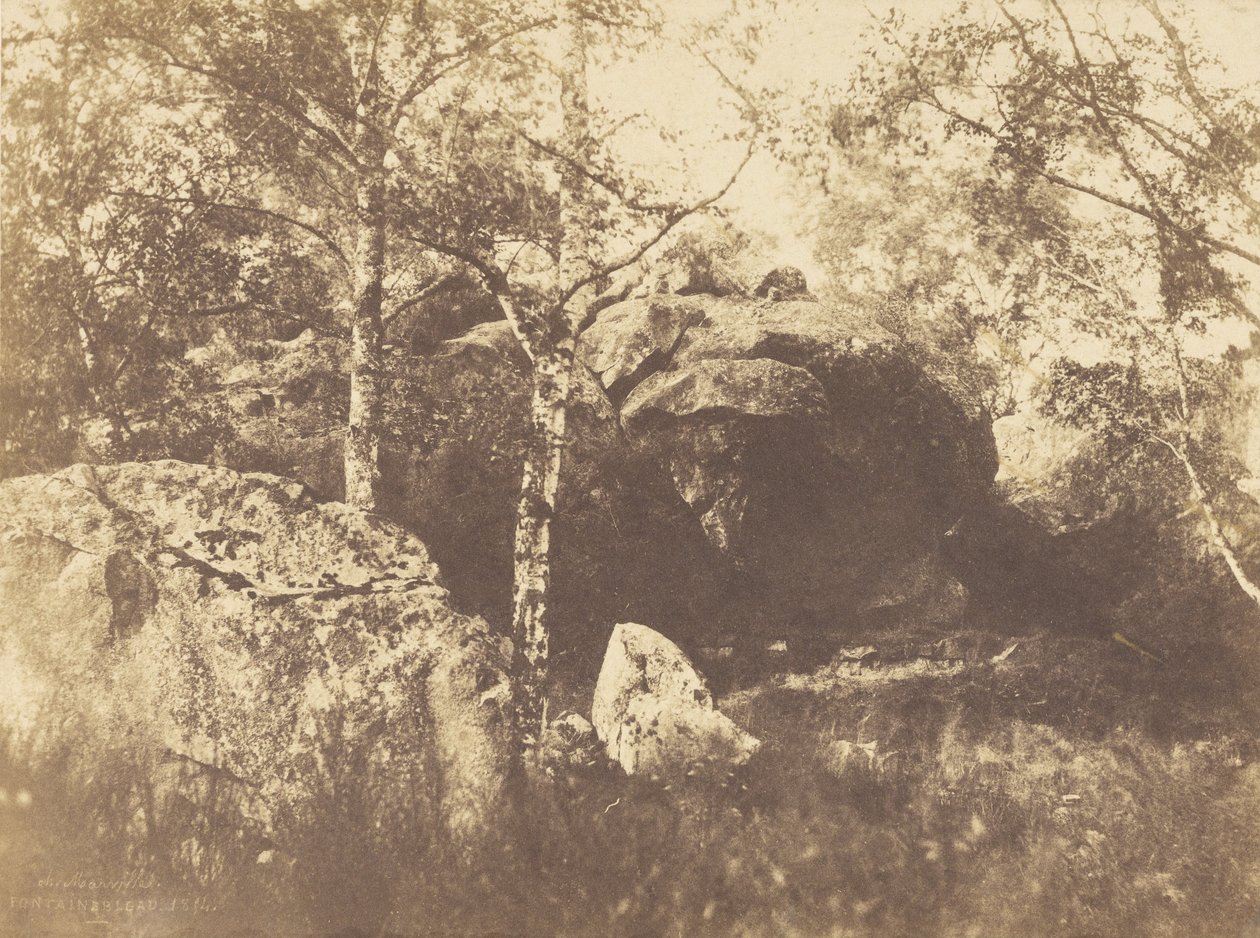 Fontainebleau da Charles Marville