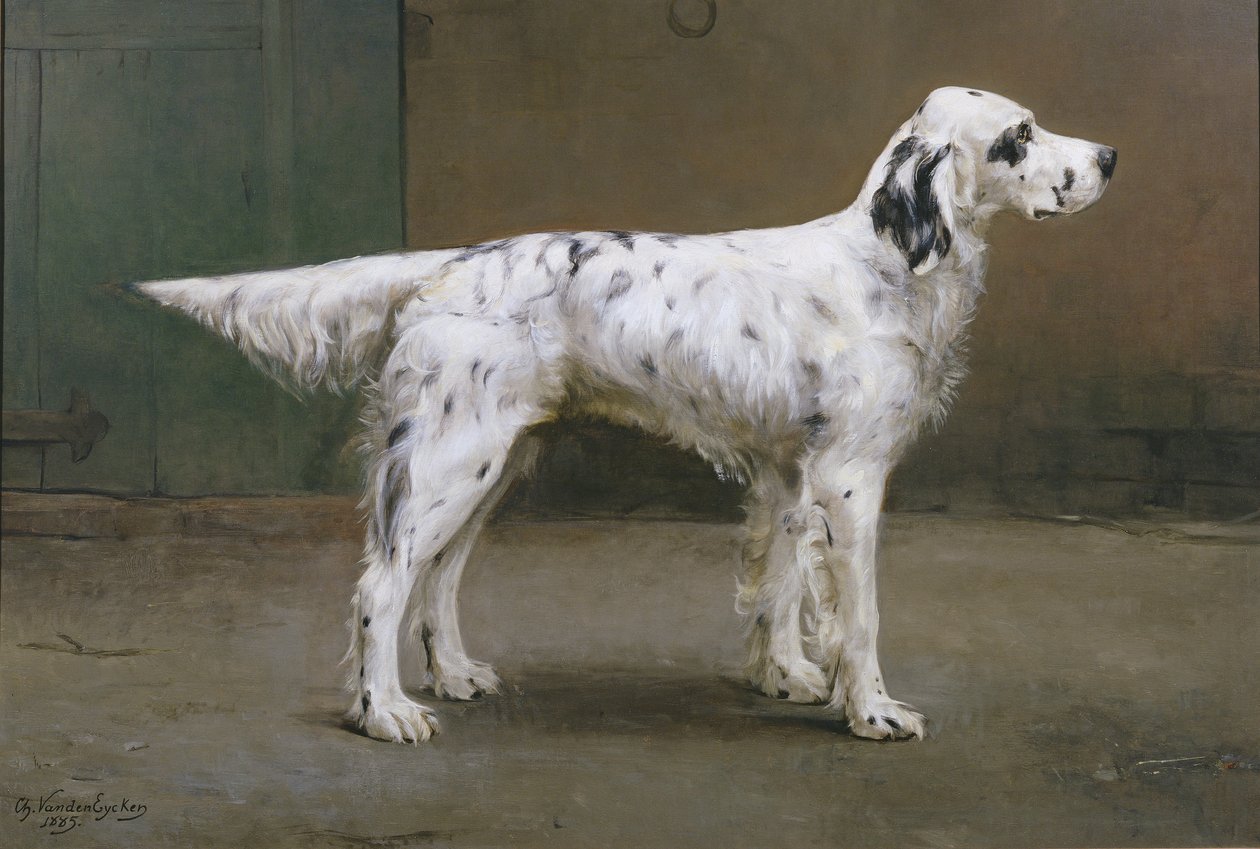 Ritratto di un cane, 1885 da Charles van den Eycken
