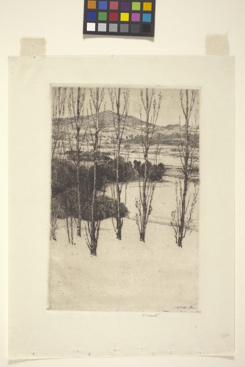 La montagna da Charles Adams Platt