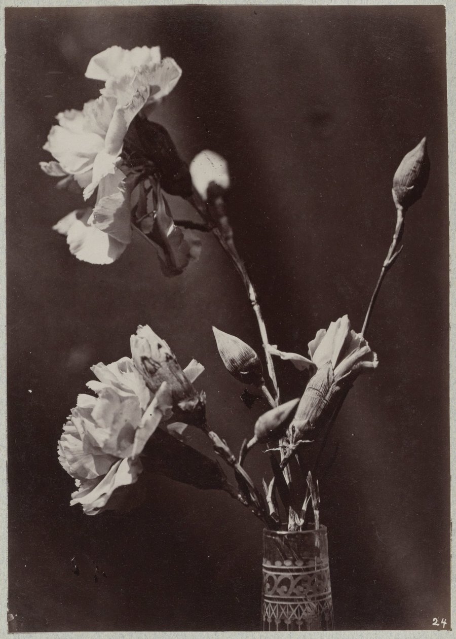 Studio di fiori con vaso di vetro da Charles Aubry (manner of)