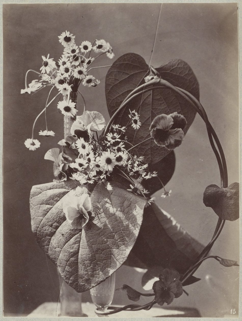 Studio di fiori con vasi di vetro da Charles Aubry (manner of)