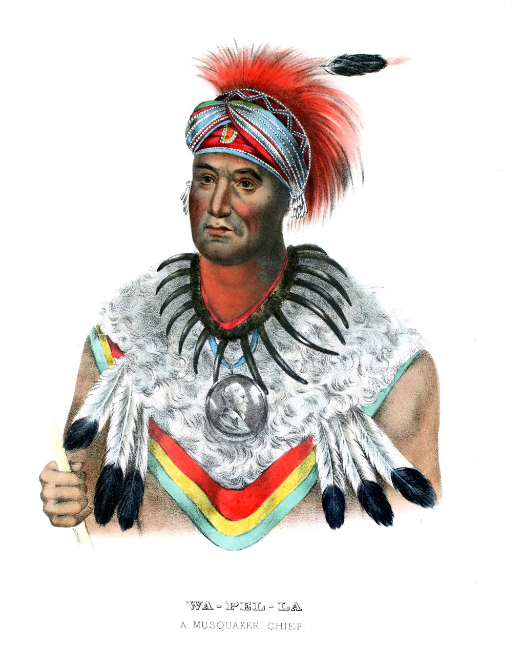 Wapella da Charles Bird (after) King
