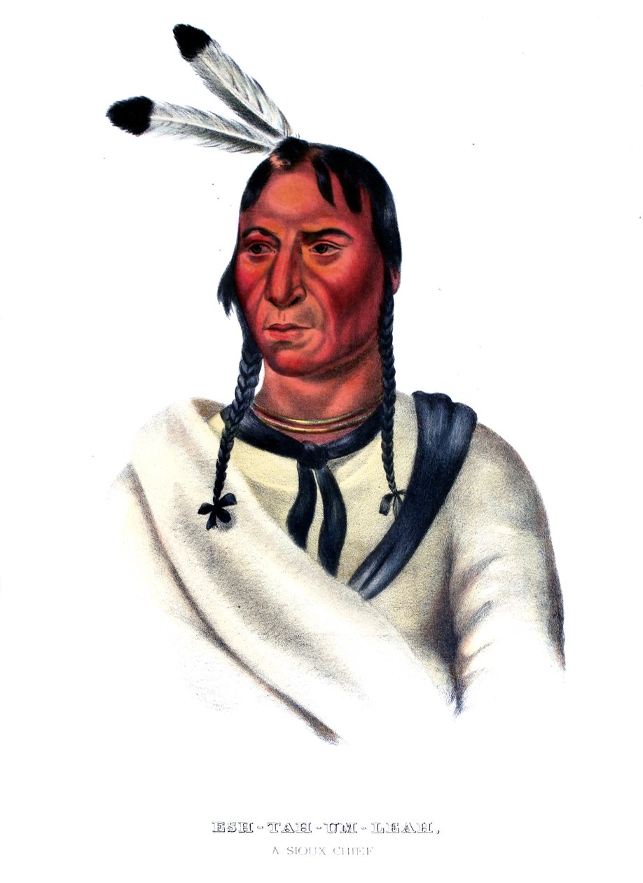 Eshtahumbah (Occhi Sonnolenti), un capo Sioux da Charles Bird King