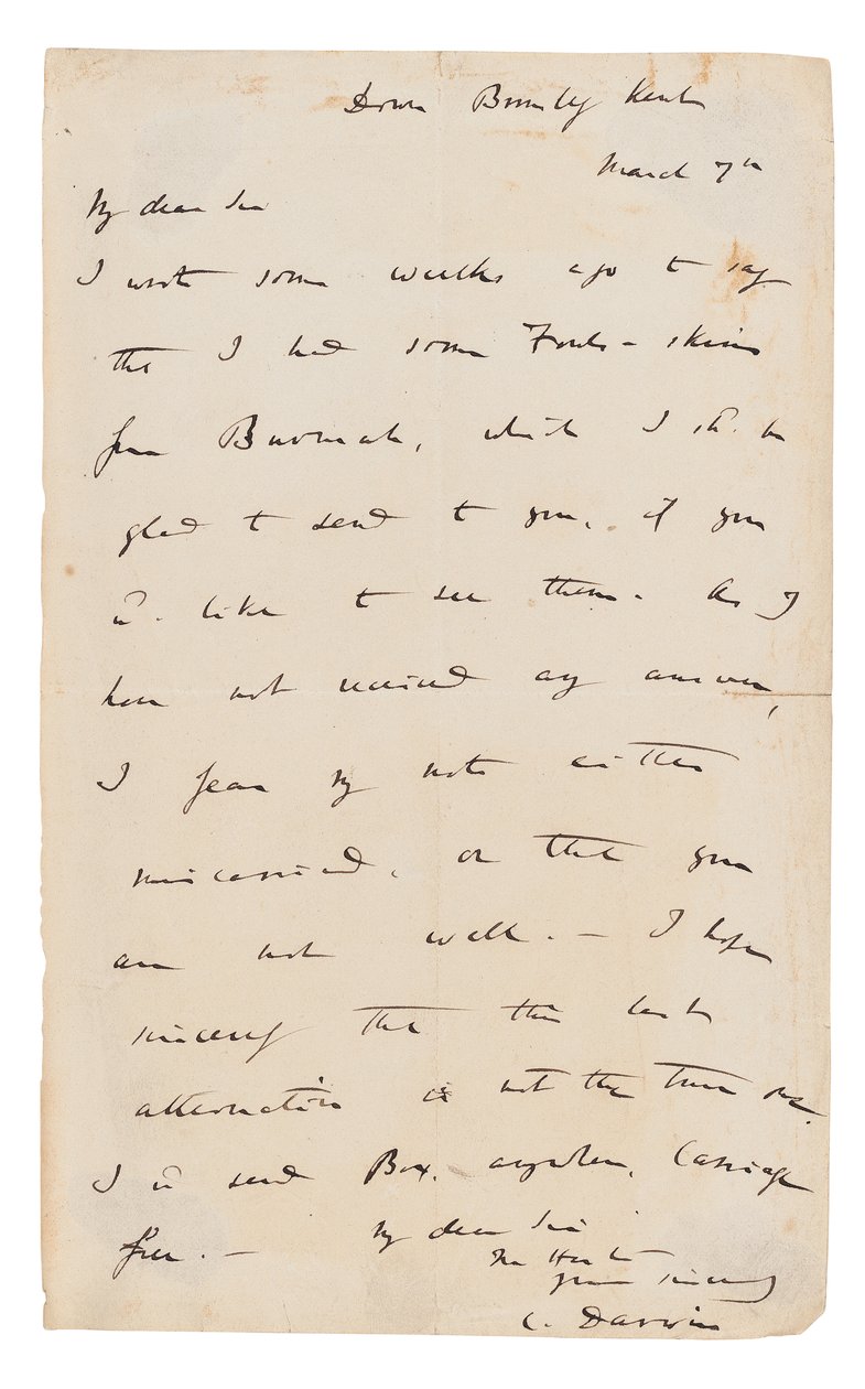 Lettera autografa firmata da Charles Darwin