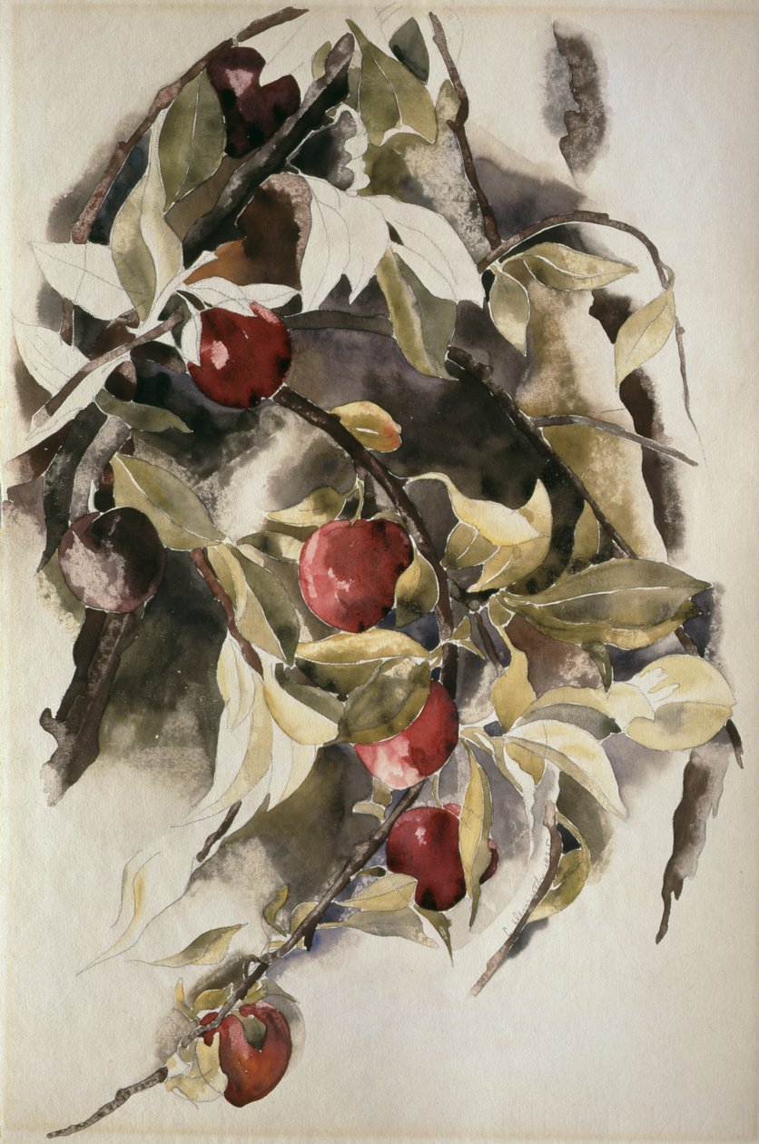 Prugne, 1925 da Charles Demuth