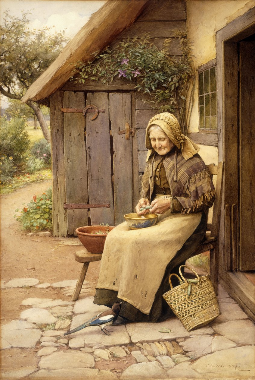 Un amico piumato da Charles Edward Wilson