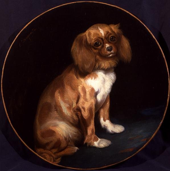 Un King Charles Spaniel da Charles Emile Callande de Champmartin