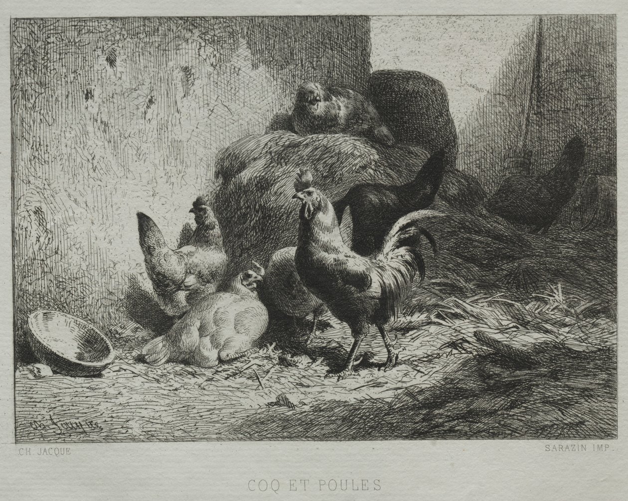 Gallo e Galline da Charles Emile Jacque