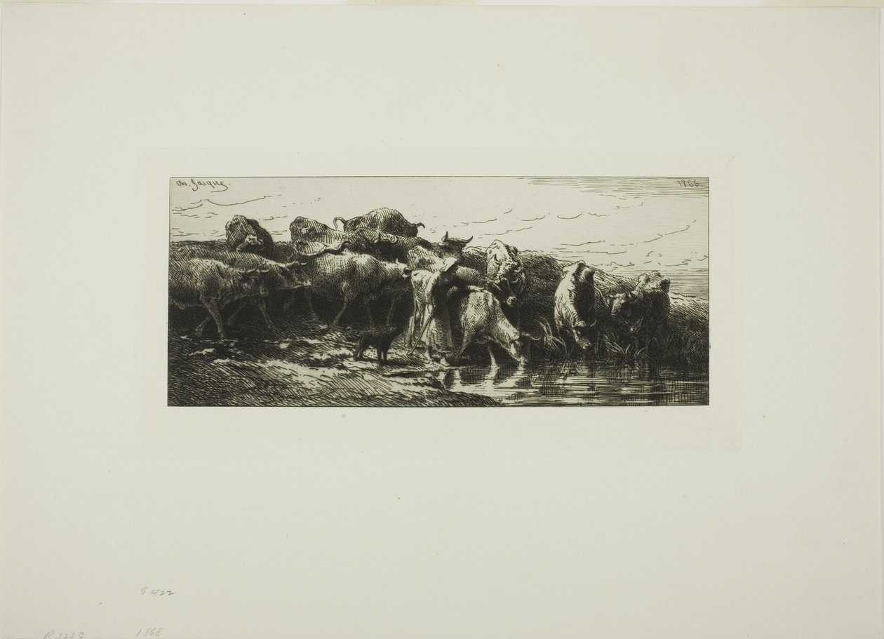 Mucche che bevono dal fiume da Charles Emile Jacque