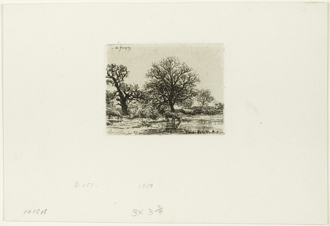Alberi e mucche vicino a uno stagno da Charles Emile Jacque