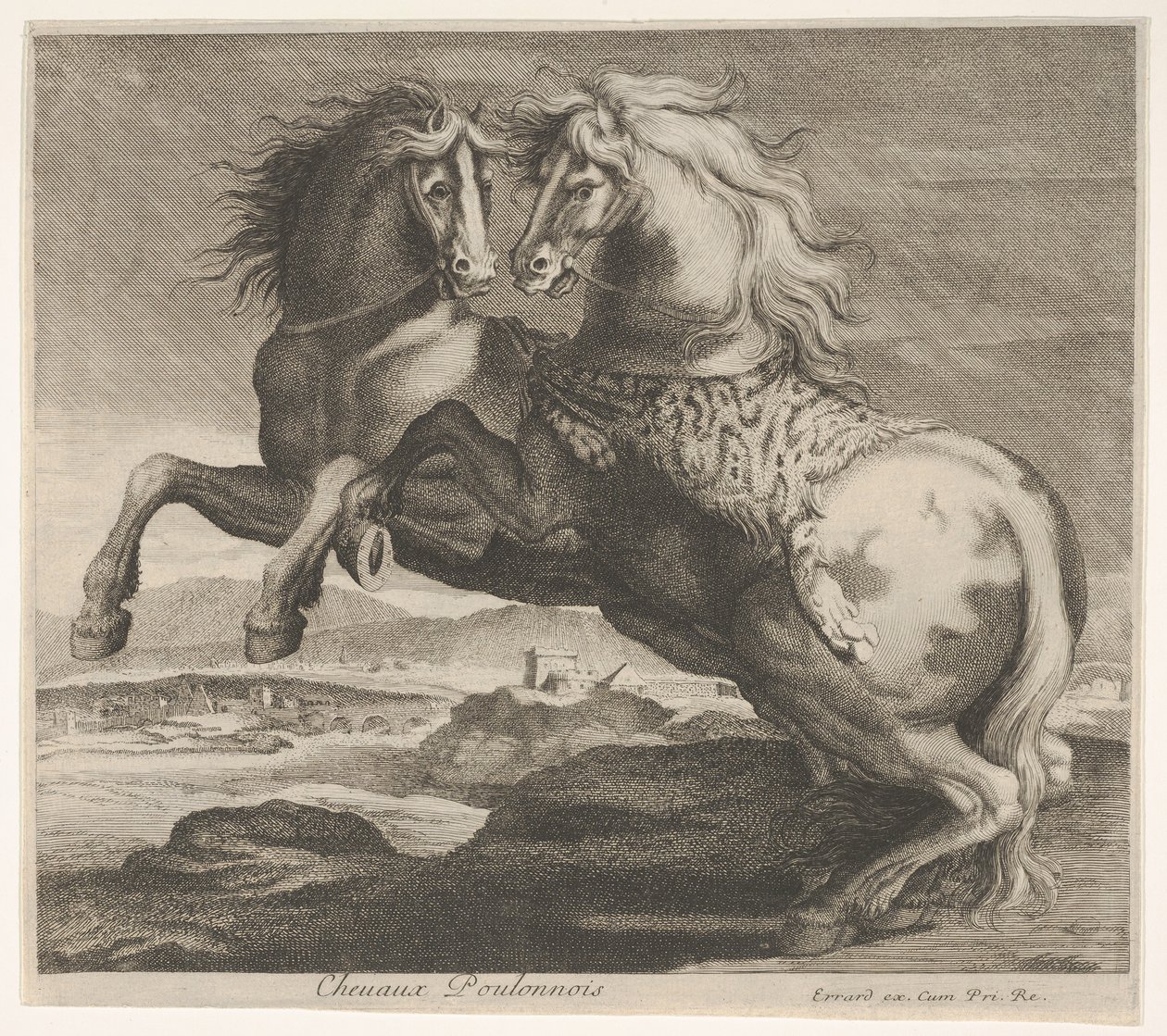 Cavalli Poulonnois da Charles Errard le fils