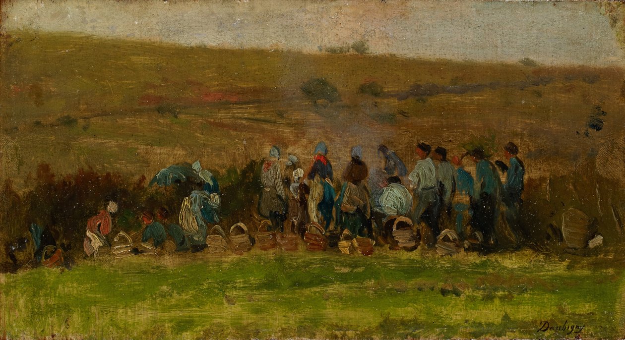 Contadini che raccolgono patate da Charles Francois Daubigny