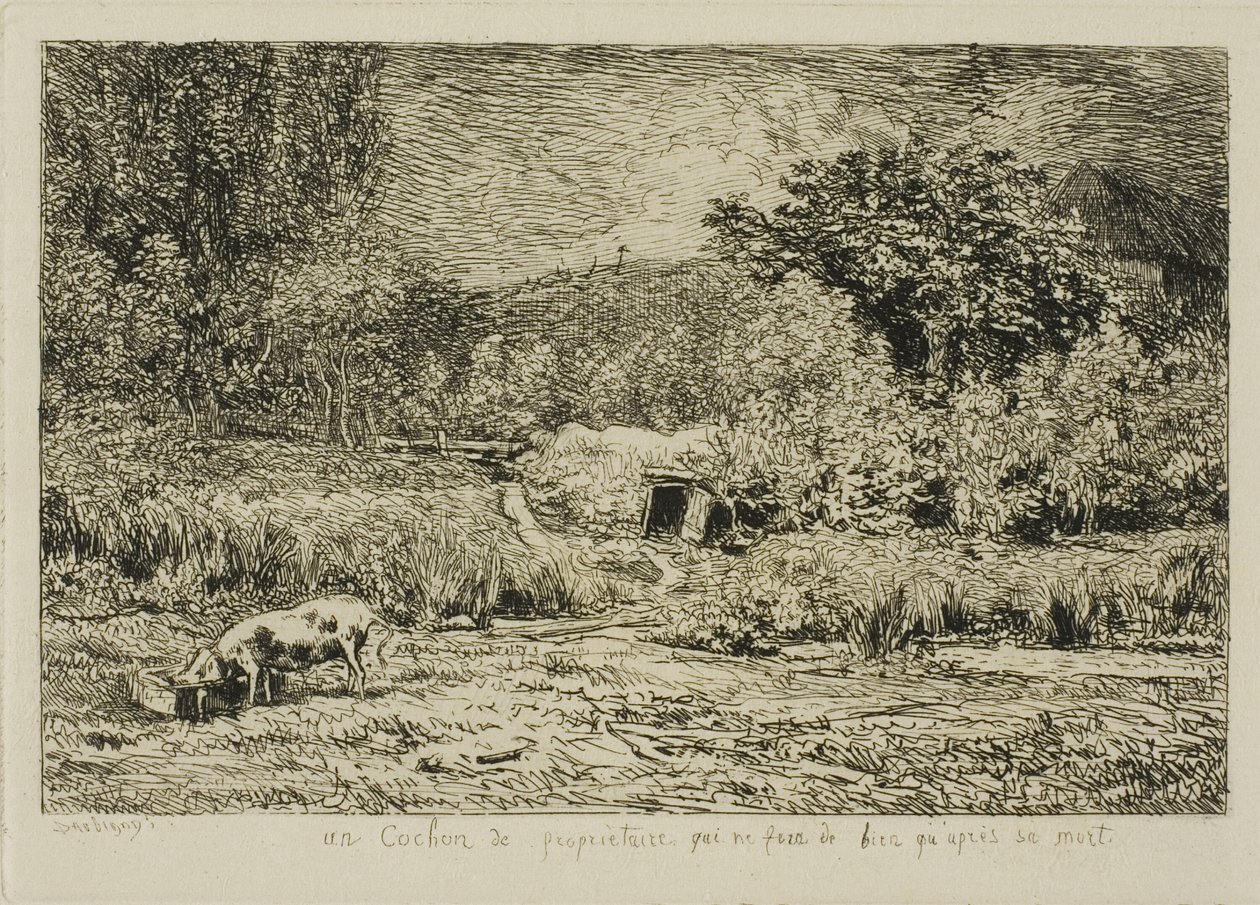 Maiale in un frutteto da Charles Francois Daubigny