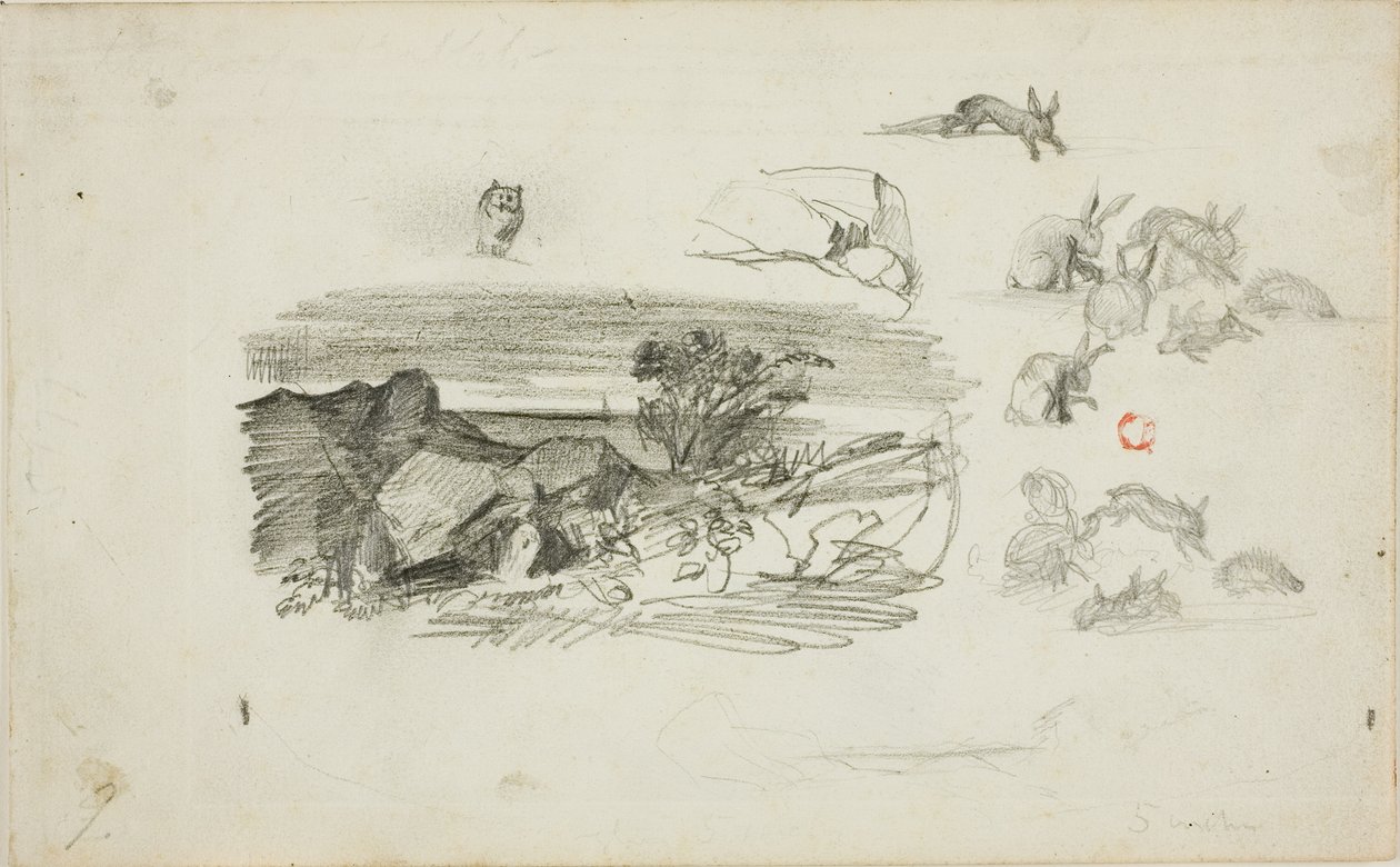 Schizzi: Ambientazione rocciosa e conigli da Charles Francois Daubigny
