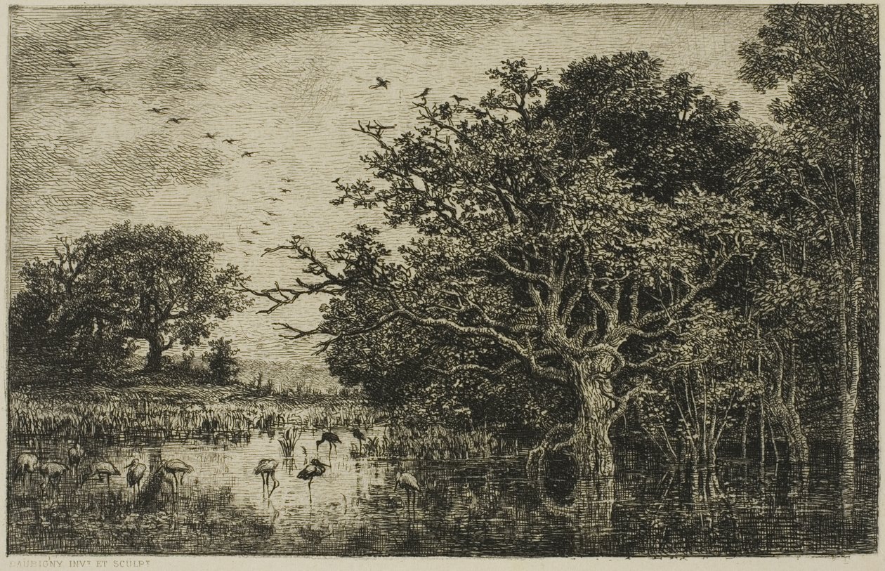 La palude con cicogne da Charles Francois Daubigny