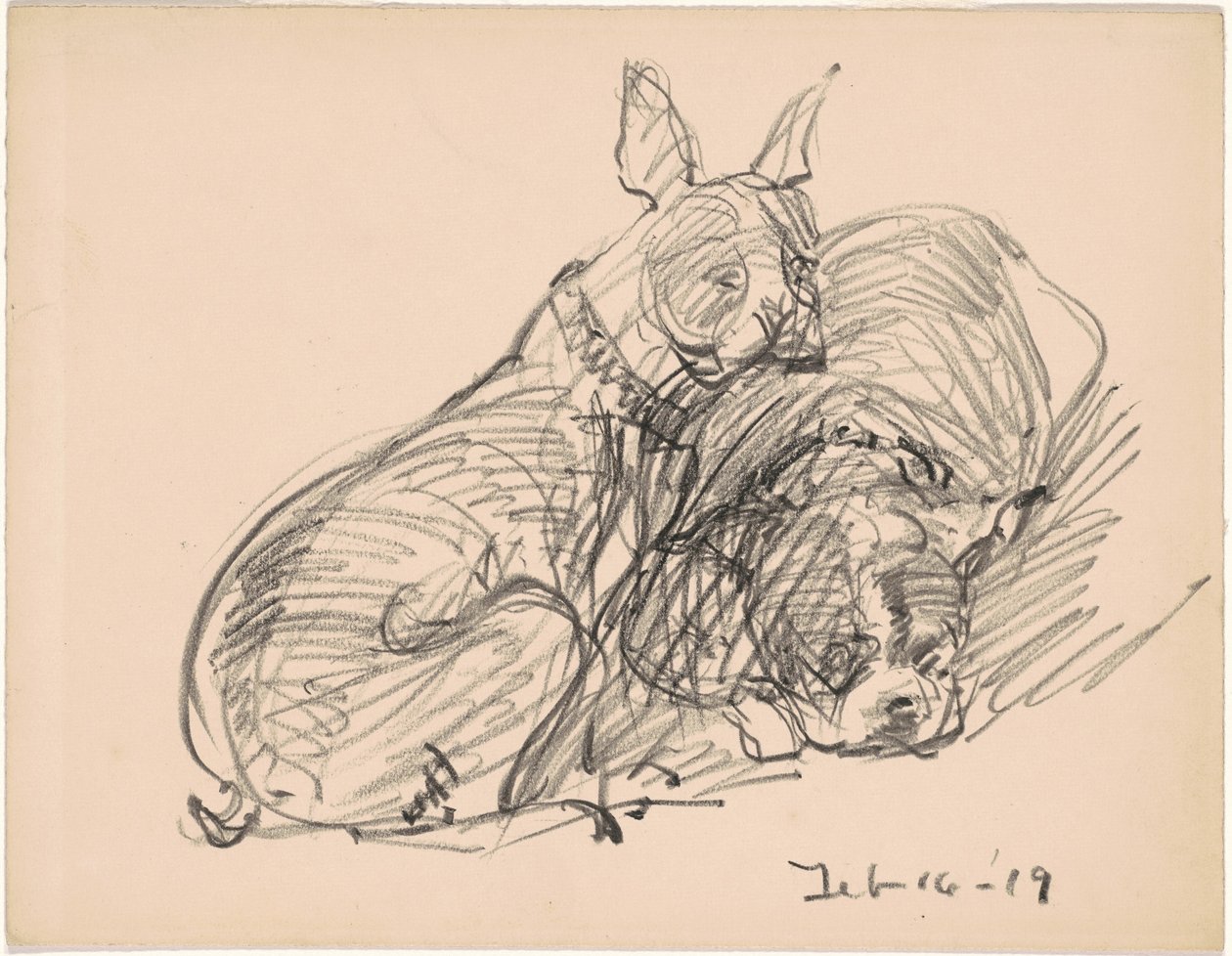 Due cani da Charles H. Woodbury