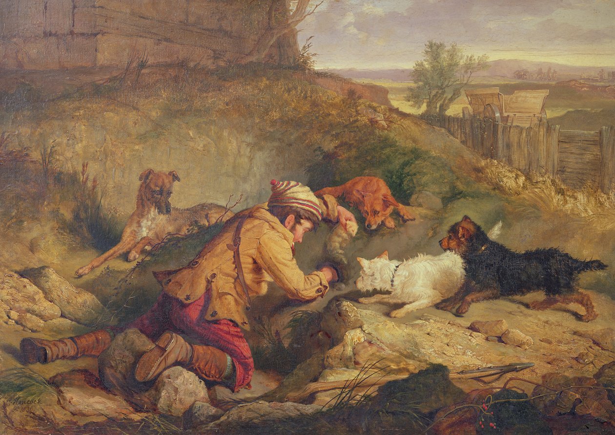 Immagine sconosciuta da Charles Hancock