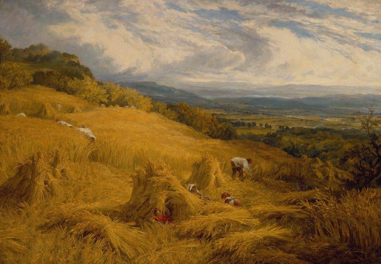 Il raccolto da Charles Henry Passey