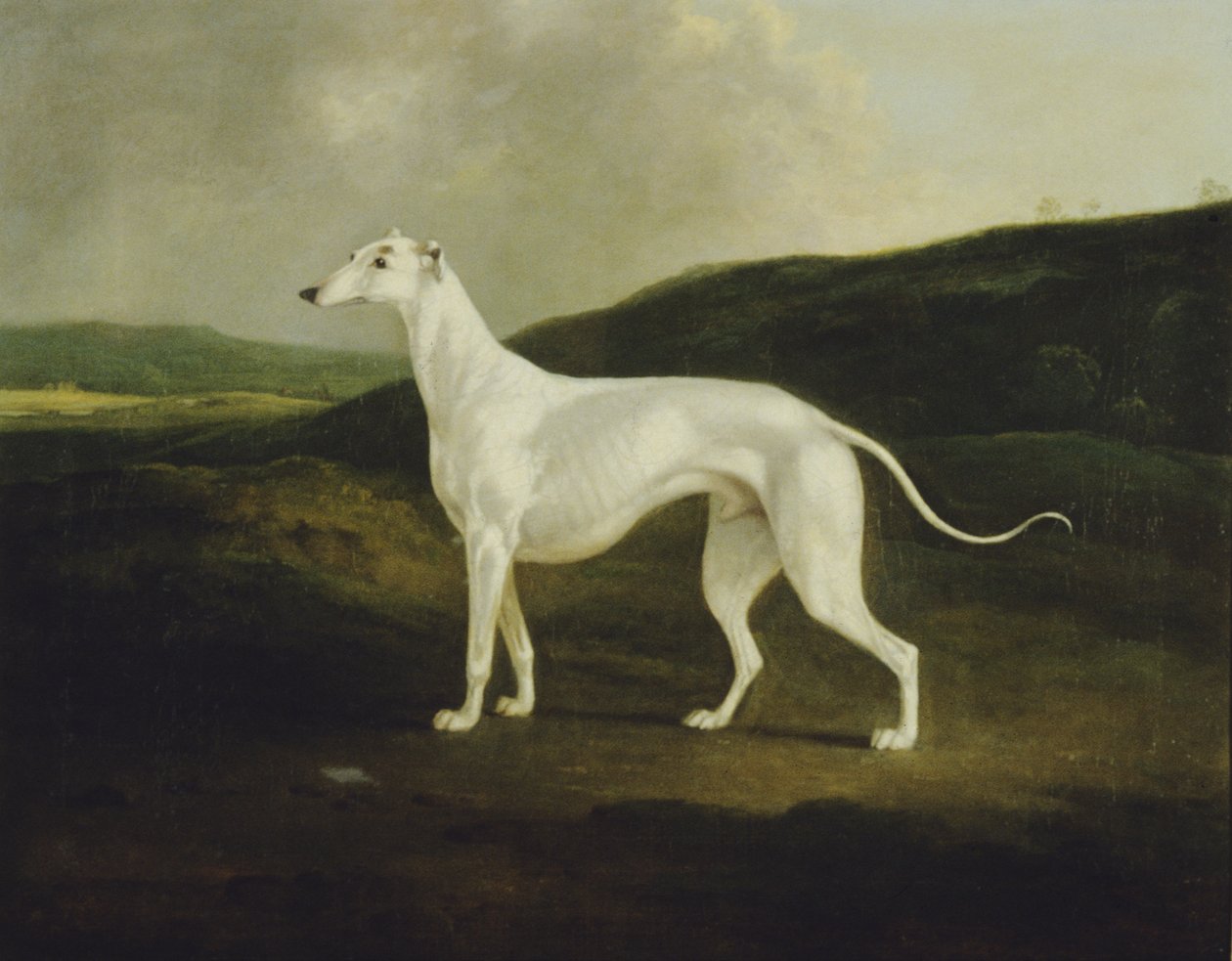Un levriero in un paesaggio da Charles Henry Schwanfelder