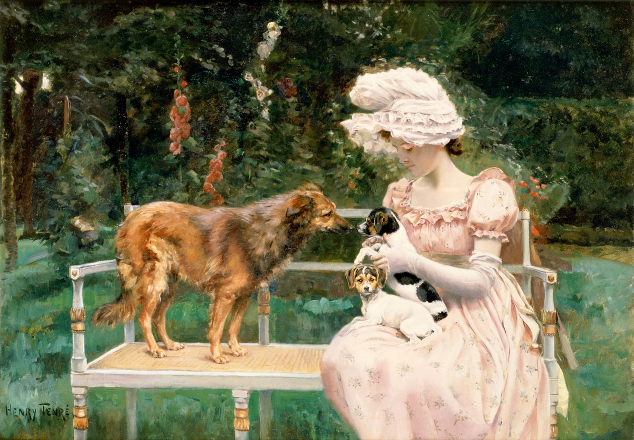 Presentazioni da Charles Henry Tenre