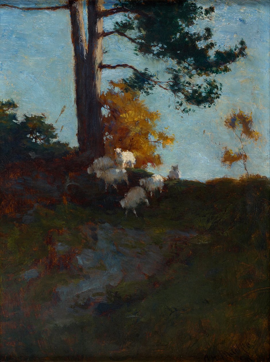 Collina con pecore da Charles Hodge Mackie