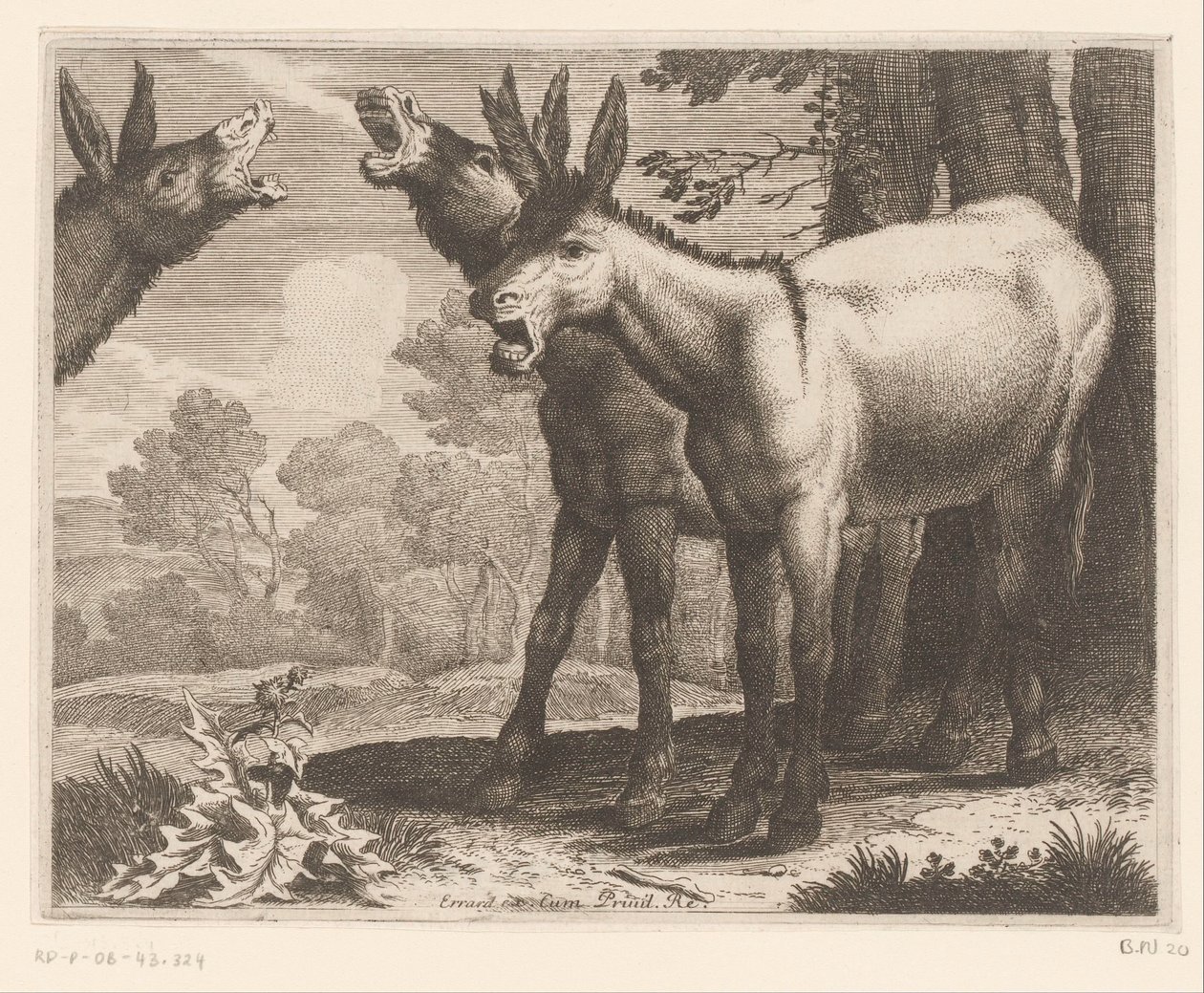 Balkende ezels Dierenserie da Charles II Errard (attributed to)