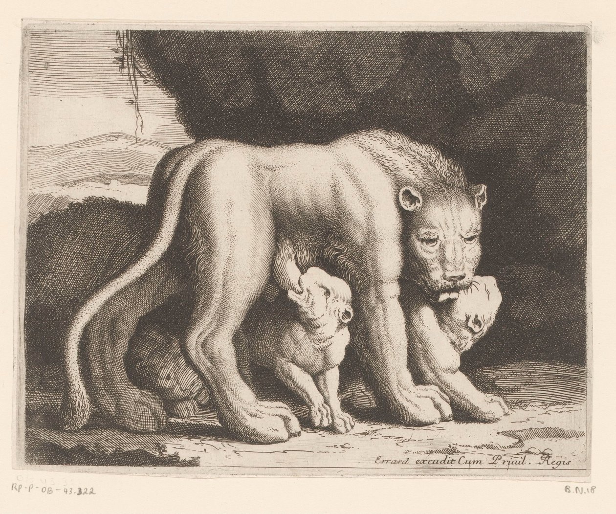 Leonessa che allatta da Charles II Errard (attributed to)