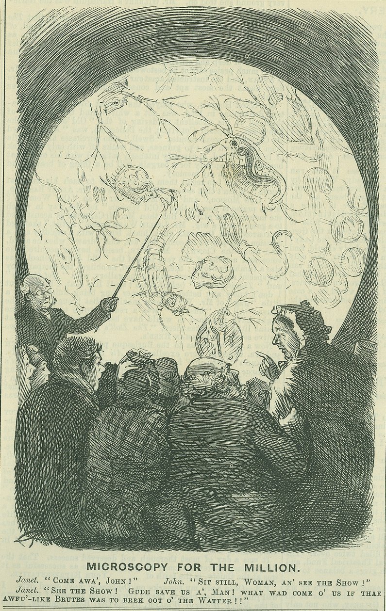 Microscopia per le masse: 1878 (incisione) da Charles Keene