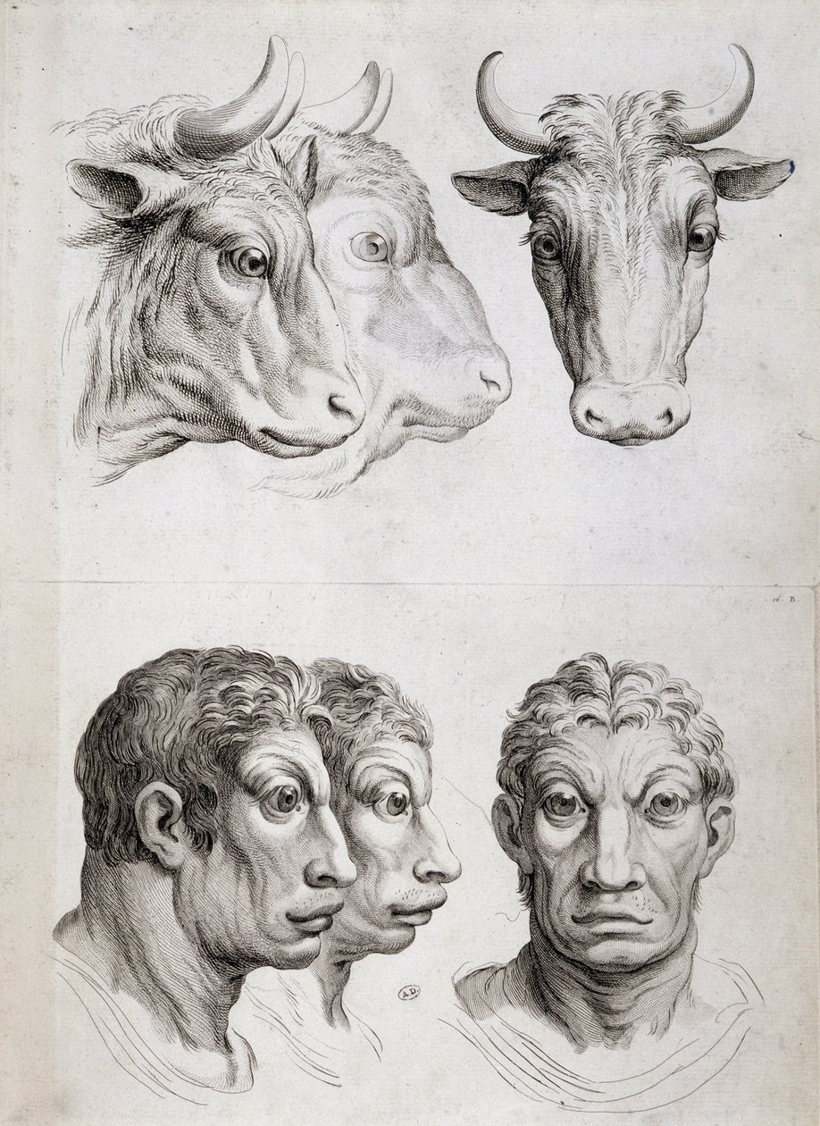 Confronto tra uomini e bestiame da Charles Le Brun