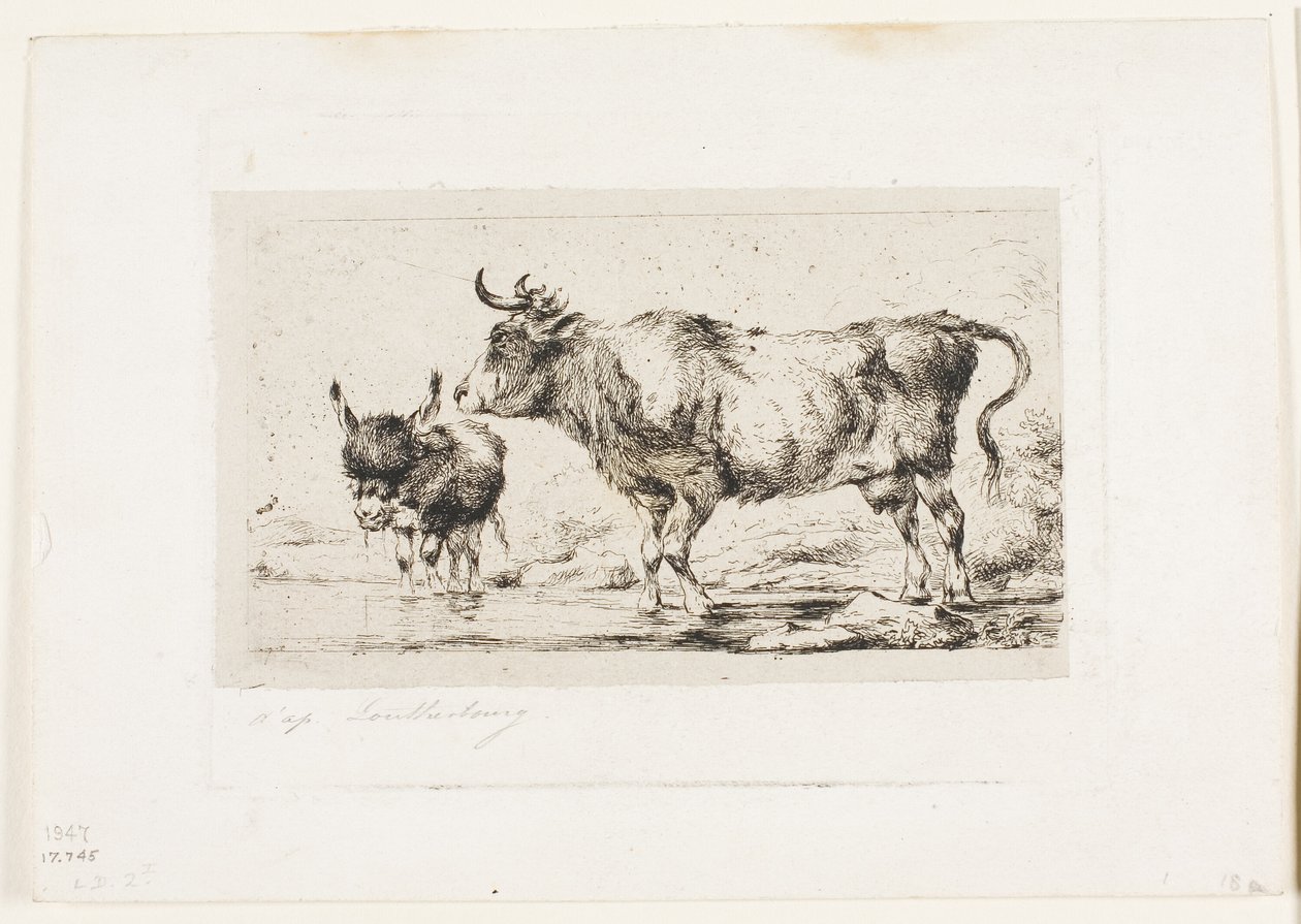 La mucca e l