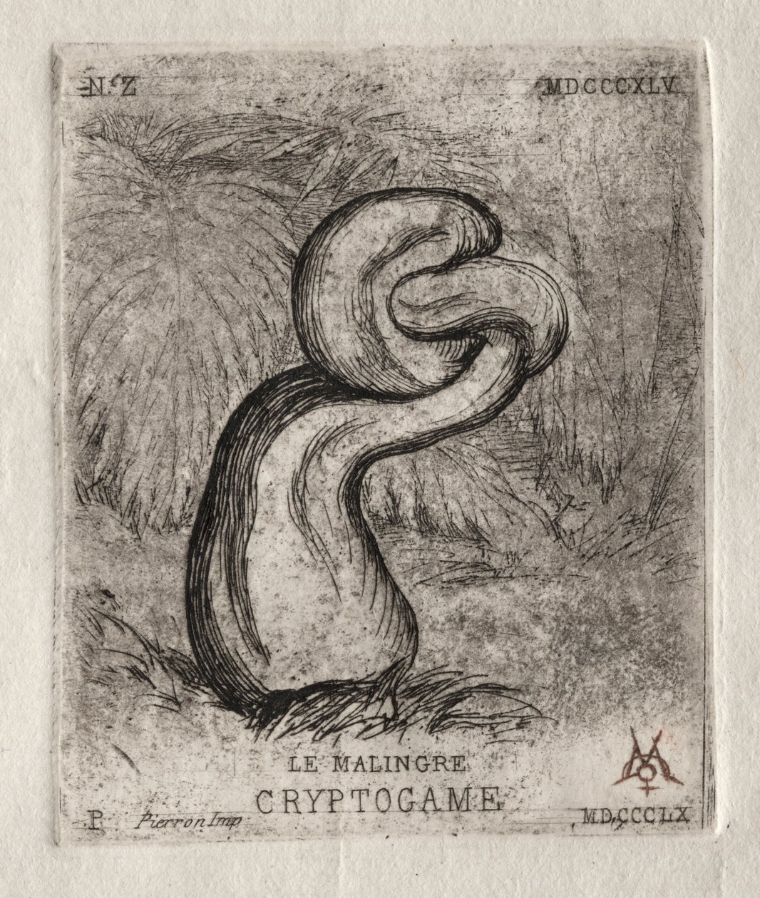 Il Criptogama Malato da Charles Meryon