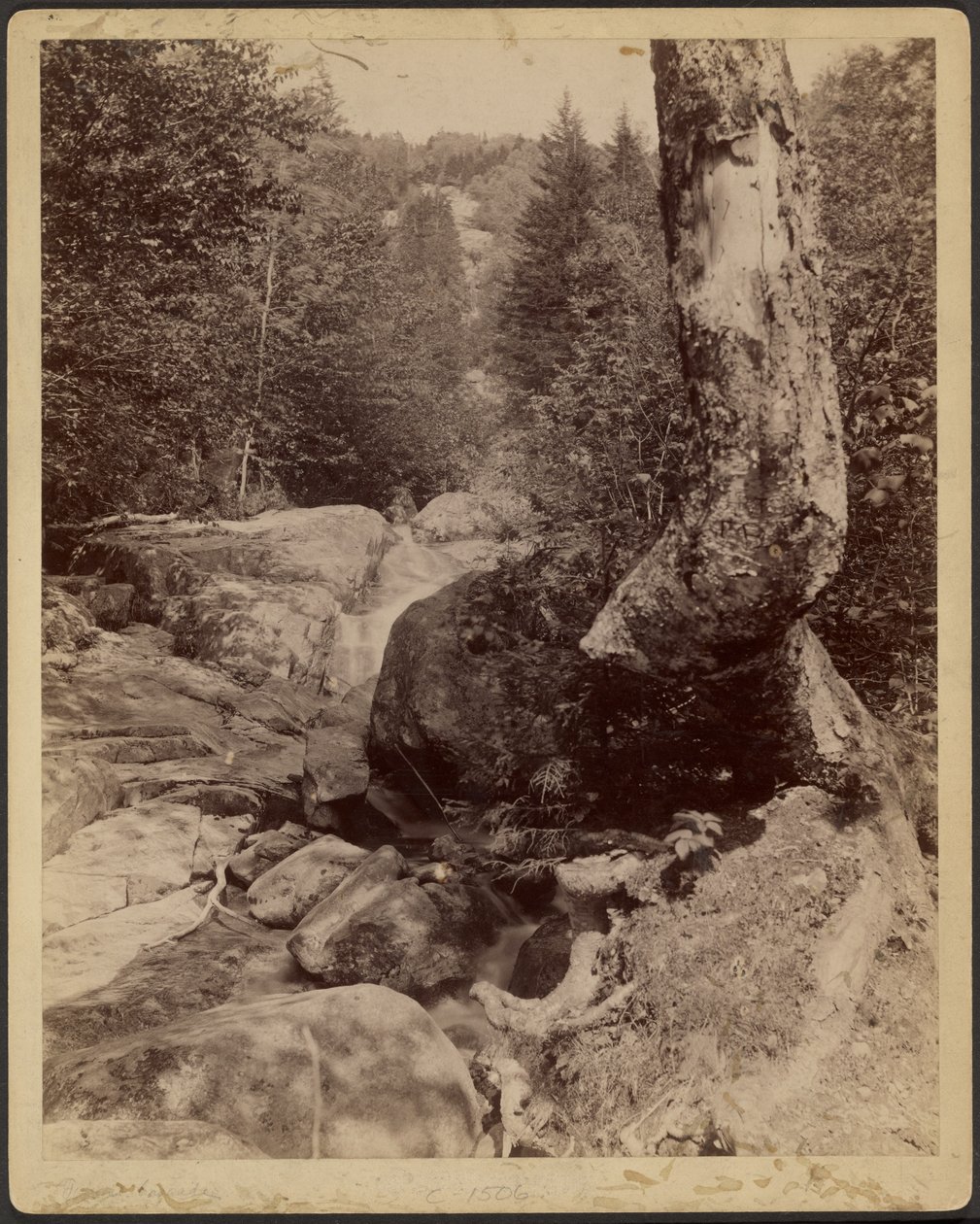 [Flusso a cascata] da Charles P. Hibbard